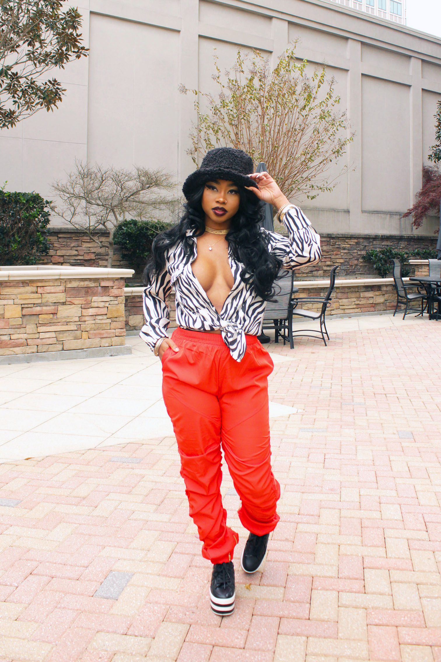Zebra & Orange Groovy Vibes